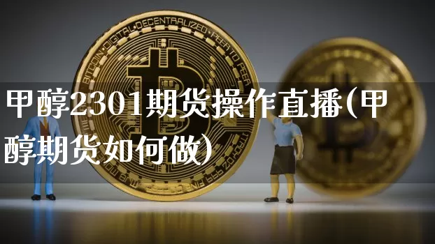 甲醇2301期货操作直播(甲醇期货如何做)_https://www.lclxwz.com_大商所_第1张