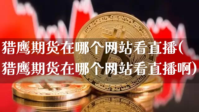 猎鹰期货在哪个网站看直播(猎鹰期货在哪个网站看直播啊)_https://www.lclxwz.com_中金所_第1张