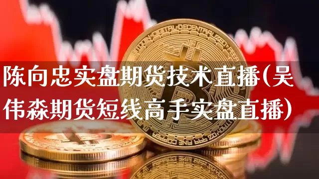 陈向忠实盘期货技术直播(吴伟淼期货短线高手实盘直播)_https://www.lclxwz.com_上期能源_第1张