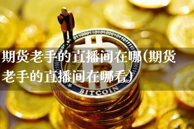期货老手的直播间在哪(期货老手的直播间在哪看)_https://www.lclxwz.com_上期所_第1张