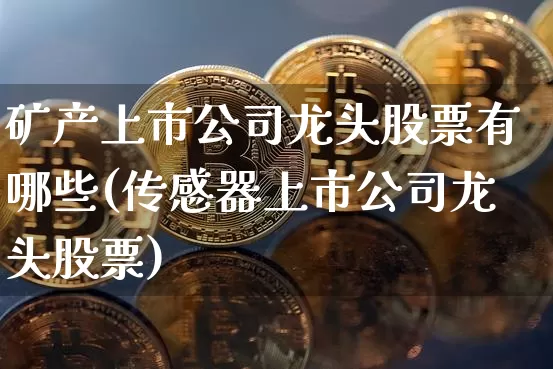 矿产上市公司龙头股票有哪些(传感器上市公司龙头股票)_https://www.lclxwz.com_广期所_第1张