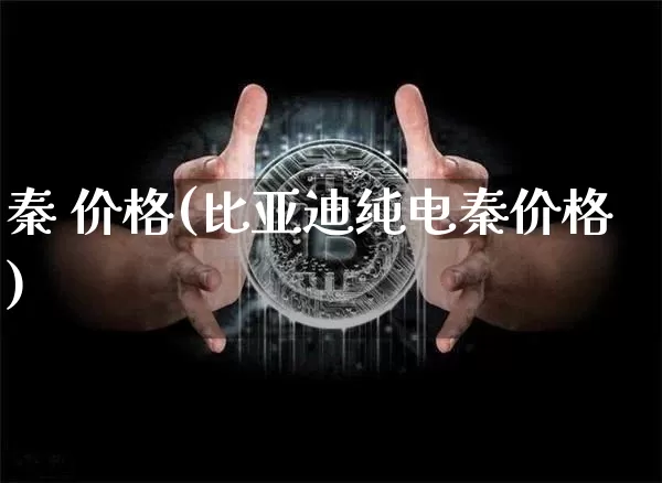 秦 价格(比亚迪纯电秦价格)_https://www.lclxwz.com_大商所_第1张
