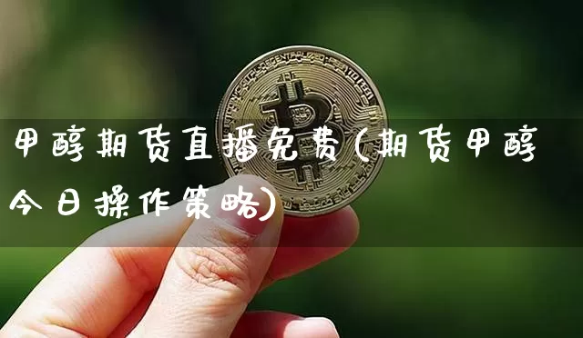 甲醇期货直播免费(期货甲醇今日操作策略)_https://www.lclxwz.com_上期所_第1张