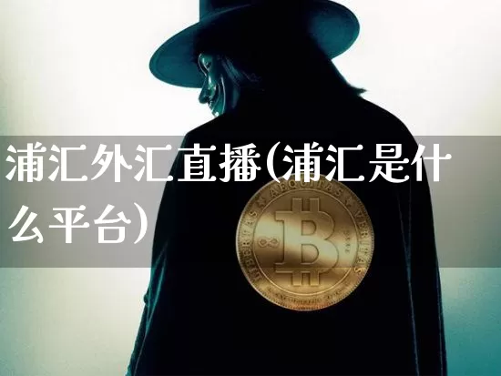 浦汇外汇直播(浦汇是什么平台)_https://www.lclxwz.com_上期能源_第1张