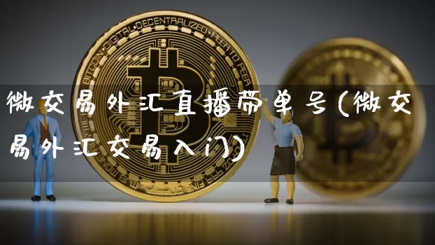 微交易外汇直播带单号(微交易外汇交易入门)_https://www.lclxwz.com_郑商所_第1张