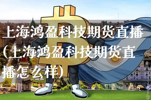 上海鸿盈科技期货直播(上海鸿盈科技期货直播怎么样)_https://www.lclxwz.com_中金所_第1张
