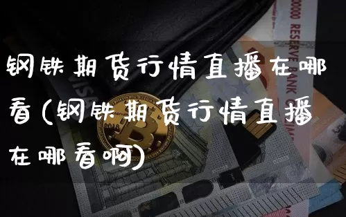 钢铁期货行情直播在哪看(钢铁期货行情直播在哪看啊)_https://www.lclxwz.com_上期能源_第1张