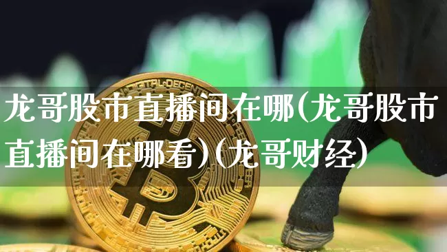 龙哥股市直播间在哪(龙哥股市直播间在哪看)(龙哥财经)_https://www.lclxwz.com_上期能源_第1张