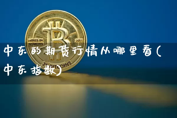 中东的期货行情从哪里看(中东指数)_https://www.lclxwz.com_大商所_第1张