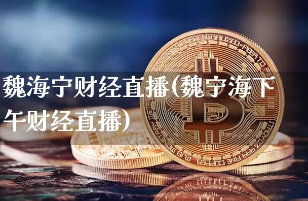 魏海宁财经直播(魏宁海下午财经直播)_https://www.lclxwz.com_上期能源_第1张