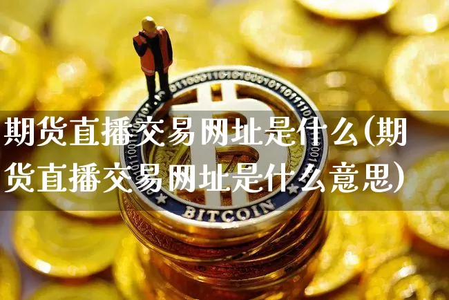 期货直播交易网址是什么(期货直播交易网址是什么意思)_https://www.lclxwz.com_大商所_第1张