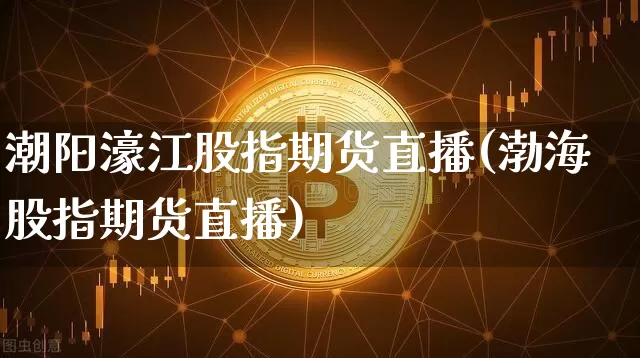 潮阳濠江股指期货直播(渤海股指期货直播)_https://www.lclxwz.com_广期所_第1张