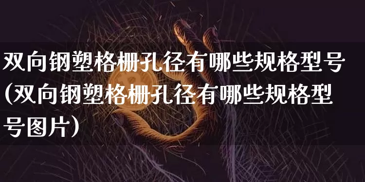 双向钢塑格栅孔径有哪些规格型号(双向钢塑格栅孔径有哪些规格型号图片)_https://www.lclxwz.com_上期所_第1张